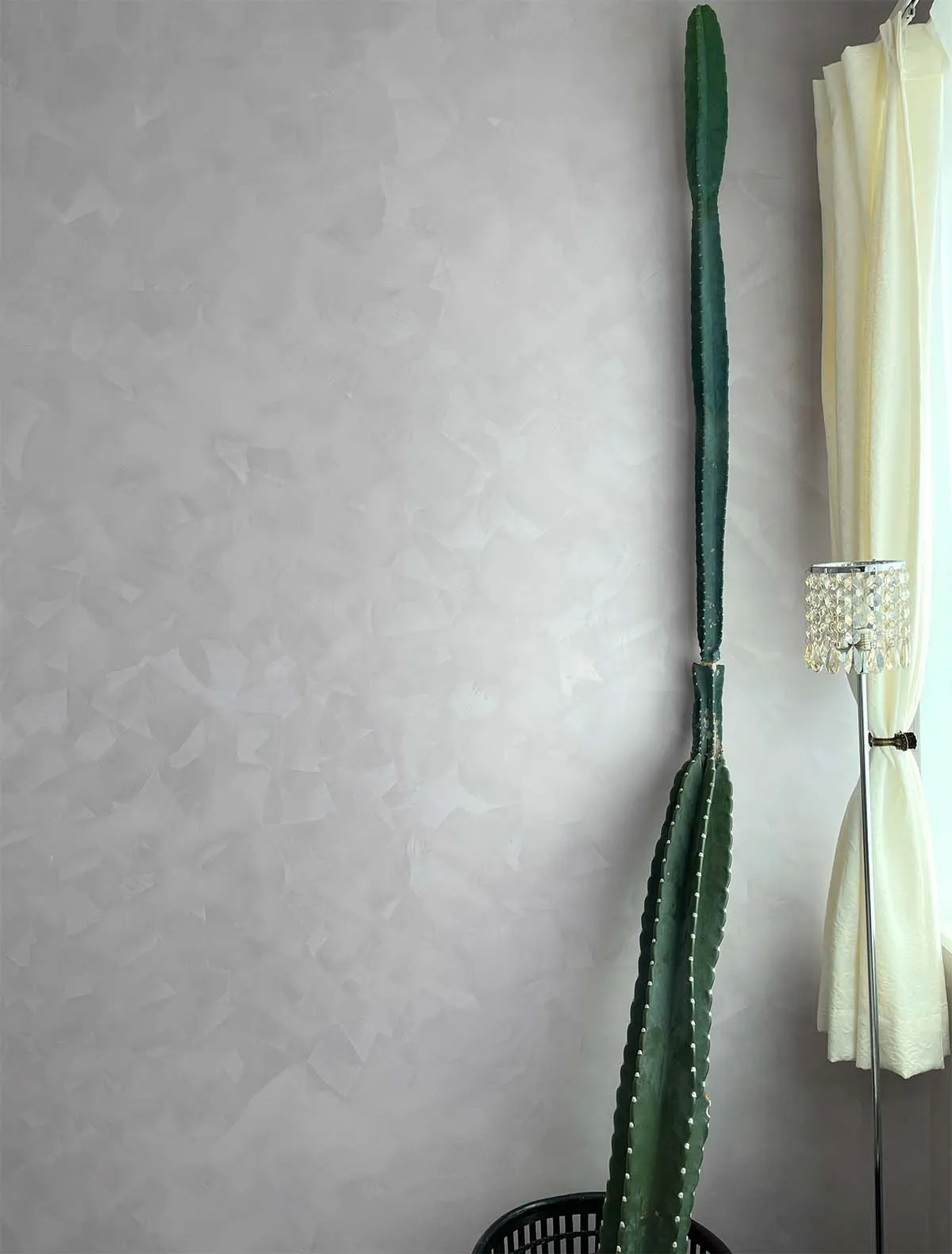 On the Adsorption Mechanism of Stucco